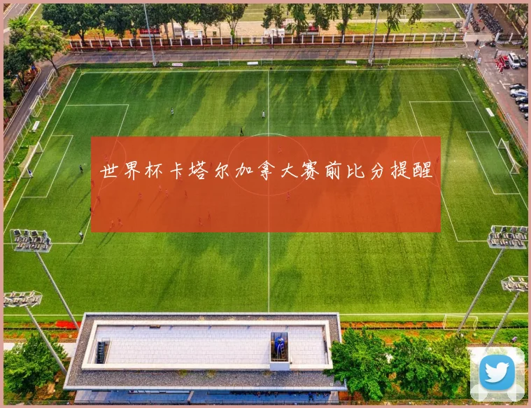 世界杯卡塔尔加拿大赛前比分提醒