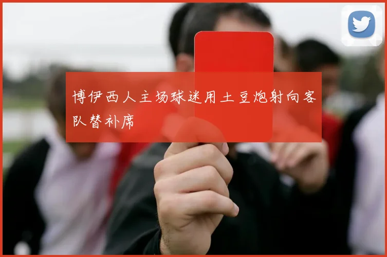 博伊西人主场球迷用土豆炮射向客队替补席