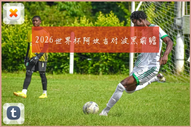 2026世界杯阿坎吉对波黑前瞻