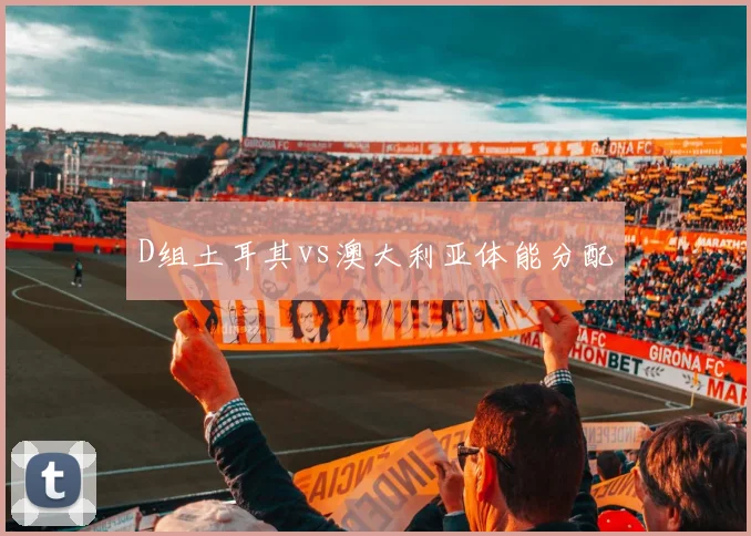 D组土耳其vs澳大利亚体能分配