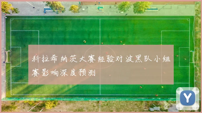 科拉希纳茨大赛经验对波黑队小组赛影响深度预测